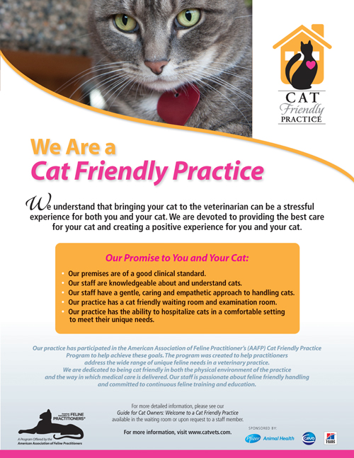 Carefree Cats All About Cats Veterinary Hospital Cats Veterinary Hospital  2025