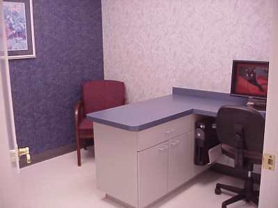 Exclusively Cats Veterinary Hospital - Waterford, MI - One of our comfortable exam rooms