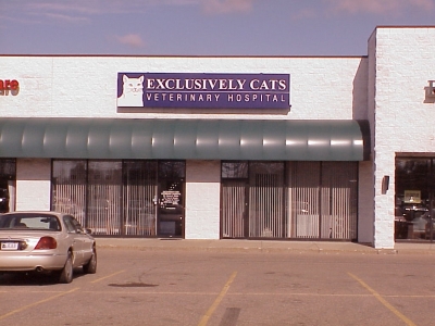 Exclusively Cats Veterinary Hospital - Waterford, MI - Our Hospital entryway